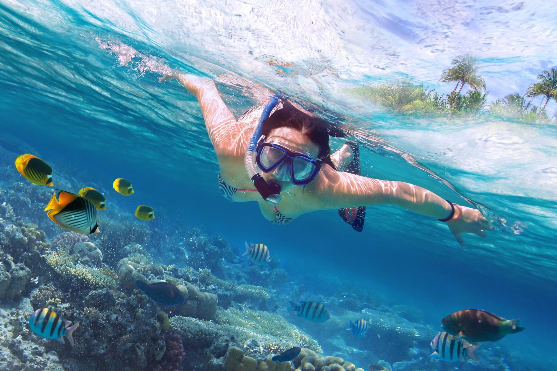 Excursiones en Punta Cana